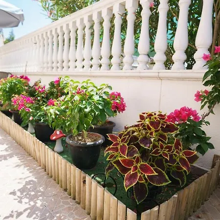 Irida Sun Olympiakí Aktí