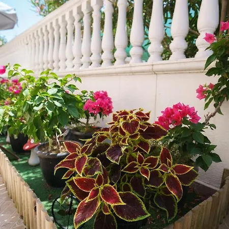 Aparthotel Irida Sun Olympiakí Aktí