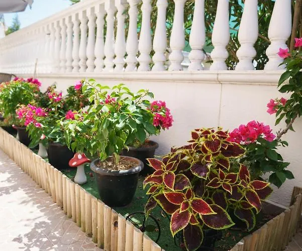 Irida Sun Olympiakí Aktí