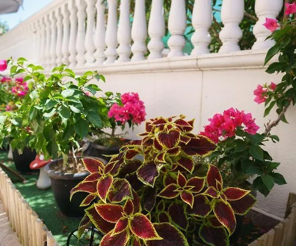 Apartahotel Irida Sun Olympiakí Aktí